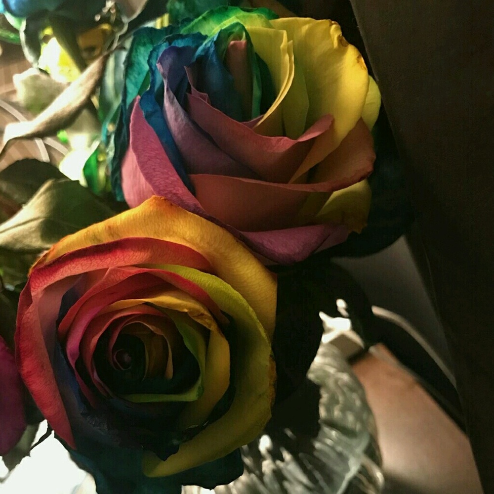 Meet your Posher, William